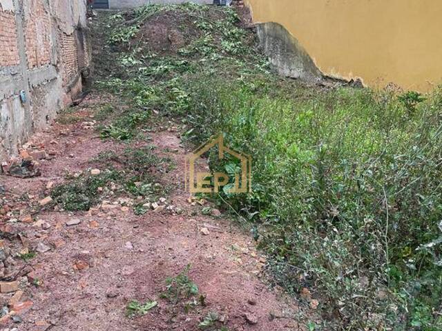 #798 - Terreno para Venda em São Bernardo do Campo - SP - 2